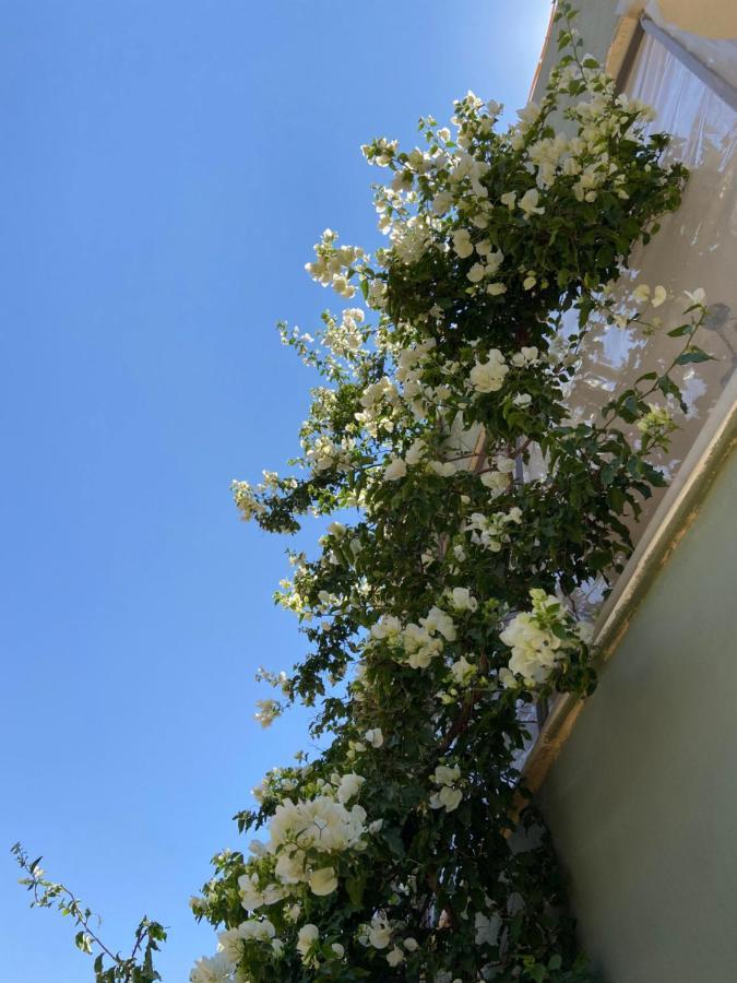 Simple Home مادابا المظهر الخارجي الصورة